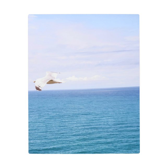 La impresión metalizado del vuelo (Anverso)