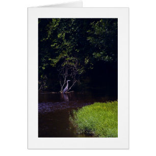 La isla de Percival, Lynchburg Virginia