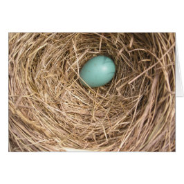 La jerarquía de los pájaros (Virginia Occidental)