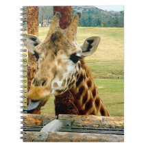 La jirafa que lo pega es cuaderno de la lengua