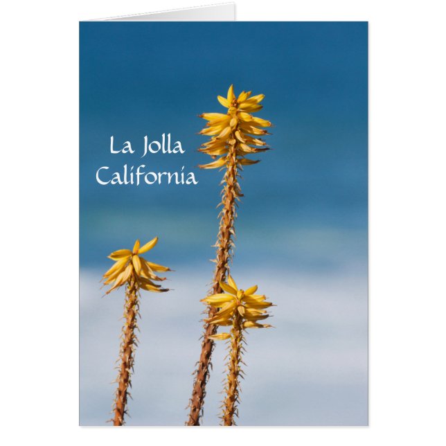 La Jolla Agave y el océano (Frente)