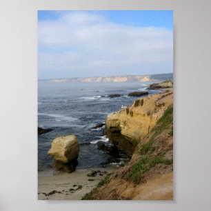La Jolla Beach Seabirs Personalizado Arte Poster I
