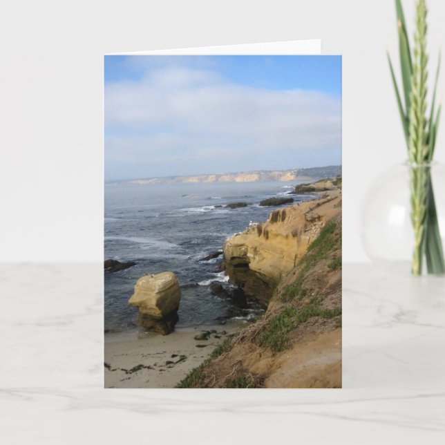 La Jolla Cove Beach Seabirs Personalizado Tarjetas (Anverso)