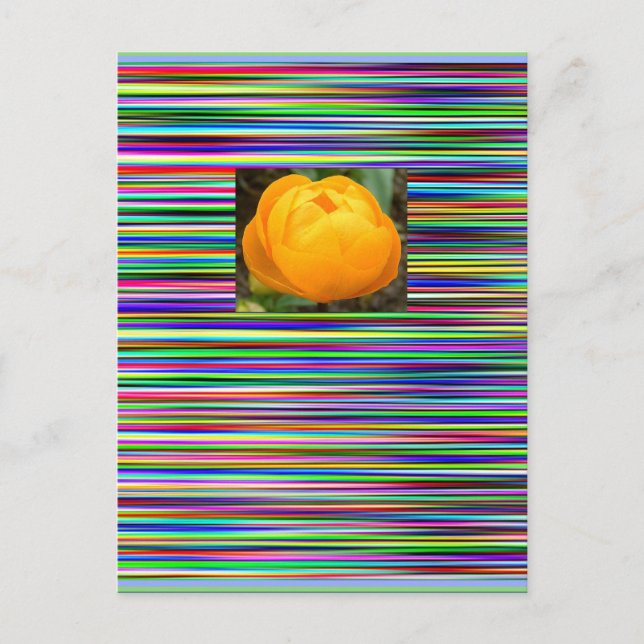 La joya raya la POSTAL del TULIPÁN (Anverso)