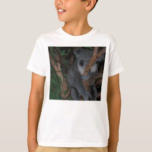 La koala embroma la camisa