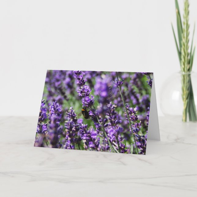 La lavanda coloca la tarjeta de felicitación (Anverso)