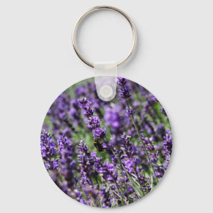 La lavanda coloca llavero