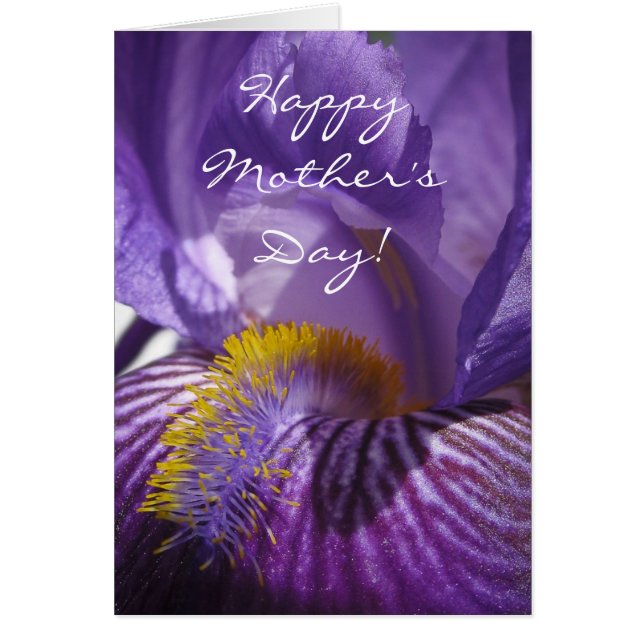 La lengua de Iris (Frente)