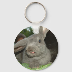 La lengua torció llavero del Rabbit