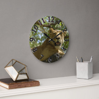 La leona mirando desde el reloj del árbol
