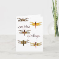 La libélula consigue la tarjeta bien