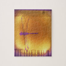 La libélula y el rompecabezas de Sun