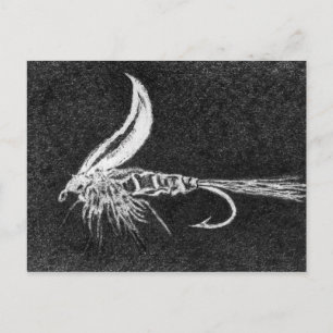 La liebre clásica de trucha después de la tarjeta