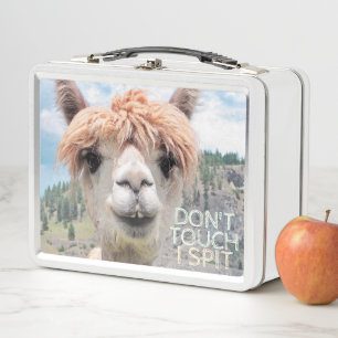 La llama divertida de la alpaca no me toca escupe