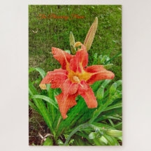 La llama en flor - Los serenos rompecabezas