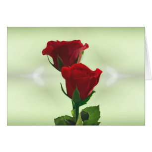 La llama gemela ama las rosas rojas