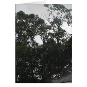 La lluvia de la lluvia sale