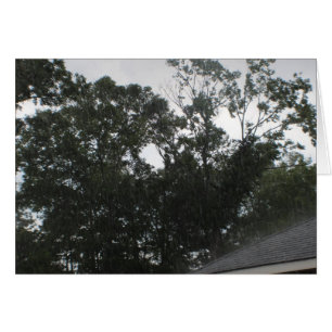 La lluvia de la lluvia sale