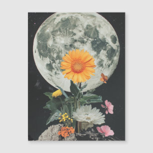 La Luna florece sobre el encanto rústico (2)