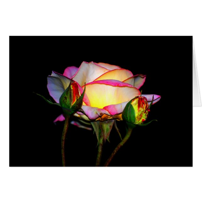 La luz dentro (Anverso (Horizontal))