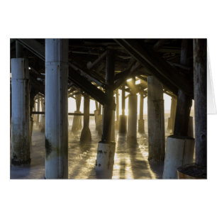 La luz dorada brilla a través de