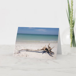 La madera de deriva en la tarjeta de playa para el