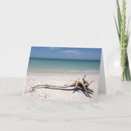 La madera de deriva en la tarjeta de playa para el