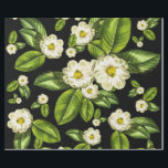 La magnolia florece el papel de embalaje botánico<br><div class="desc">Diseño del papel de embalaje de la flor de la magnolia basado en nuestra impresión del arte de la magnolia #9,  ésta con el fondo negro dramático.</div>