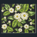 La magnolia florece el papel de embalaje botánico<br><div class="desc">Diseño del papel de embalaje de la flor de la magnolia basado en nuestra impresión del arte de la magnolia #9,  ésta con el fondo negro dramático.</div>