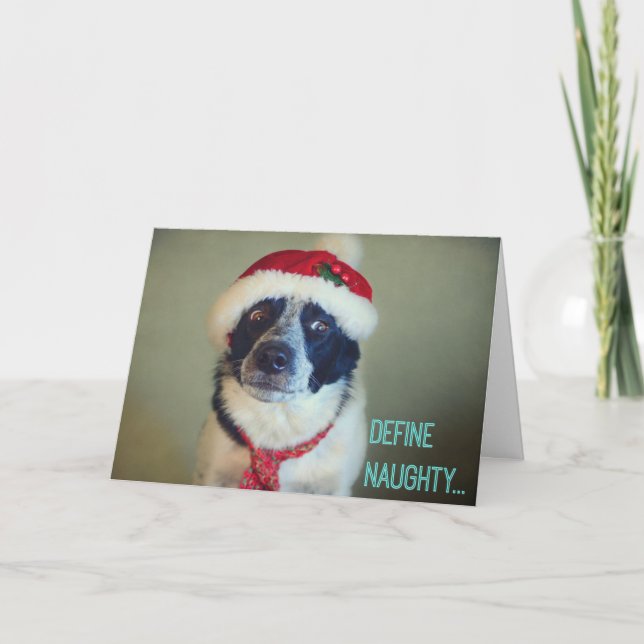 La mala tarjeta de Navidades de Border Collie. (Anverso)