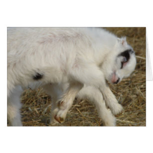 La Mancha Billy Kid En Juego