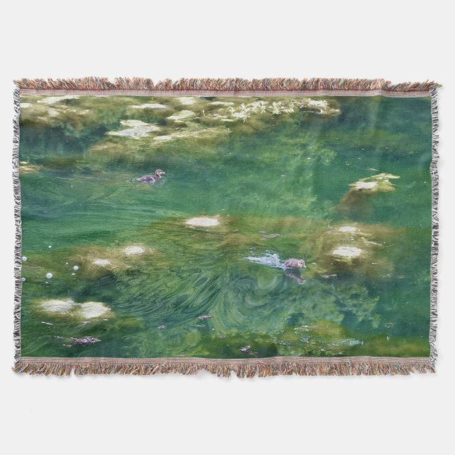 La manta de patos de Monet  (Anverso)