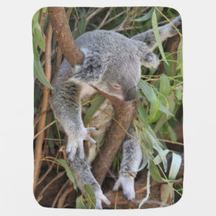 La manta del bebé de Koala, que duerme mucho,