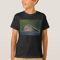 La mantis religiosa embroma la camiseta