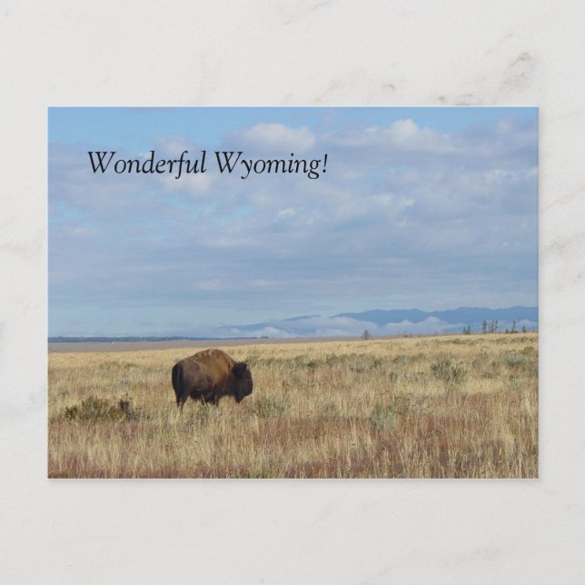¡La maravillosa Wyoming! Postal (Anverso)