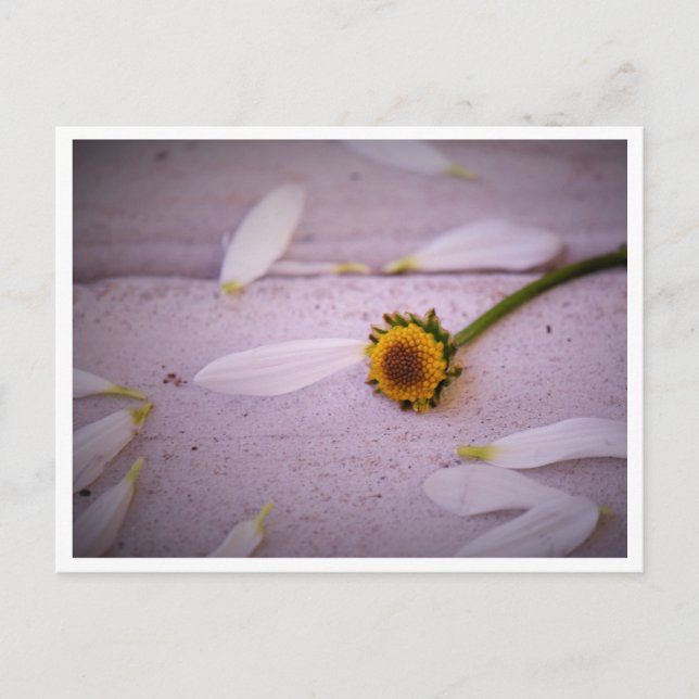 "La Margaret dijo: ¡SÍ!" postal (Anverso)