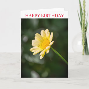 La margarita amarilla arriba tarjeta de cumpleaños