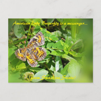 La Mariposa Americana Lady es una postal de mensaj