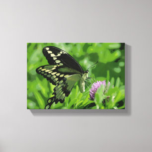 La mariposa de Swallowtail estiró la impresión de