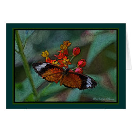 La mariposa del Lacewing del leopardo (cyane de