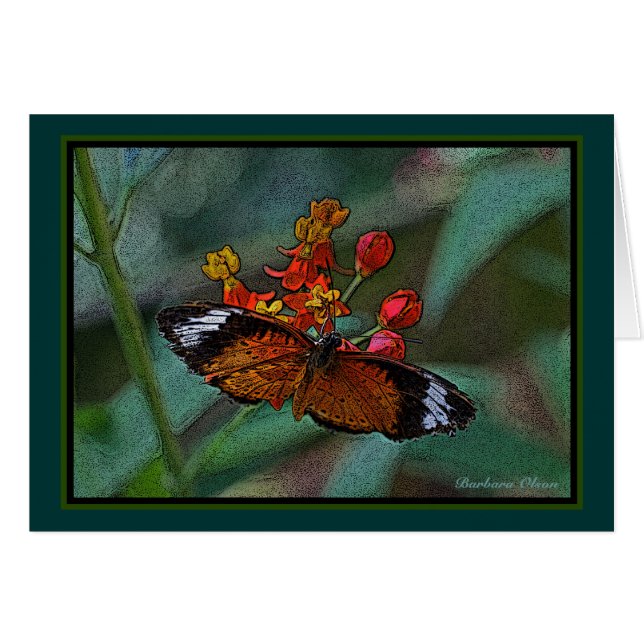 La mariposa del Lacewing del leopardo (cyane de (Anverso (Horizontal))