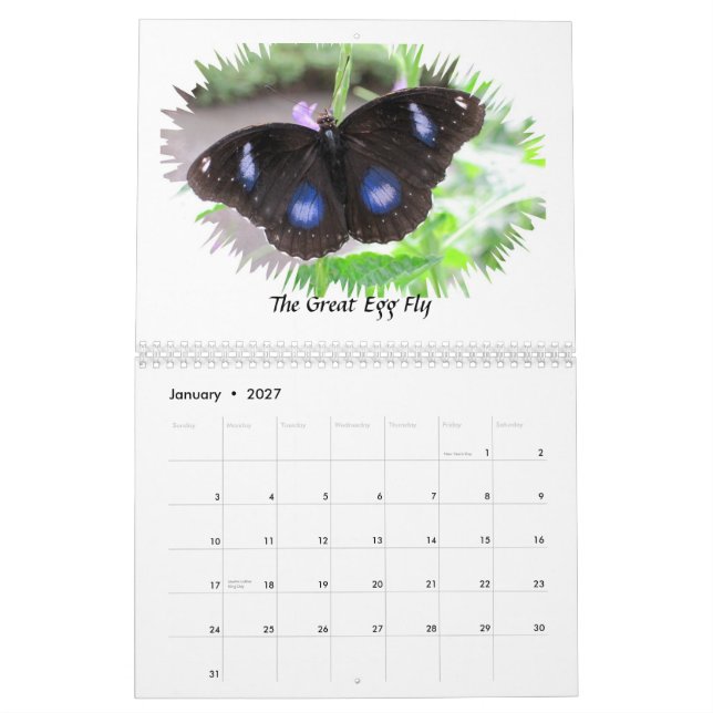 La mariposa fotografía el calendario 2012 (Jan 2027)