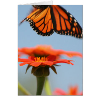 La mariposa monarca toma vuelo