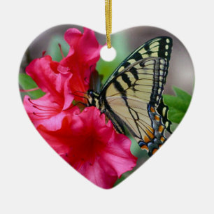 La mariposa soña el ornamento