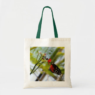 La mariposa sorbe la bolsa de asas