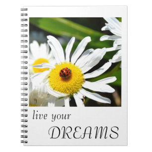 La mariquita vive su cuaderno de los sueños
