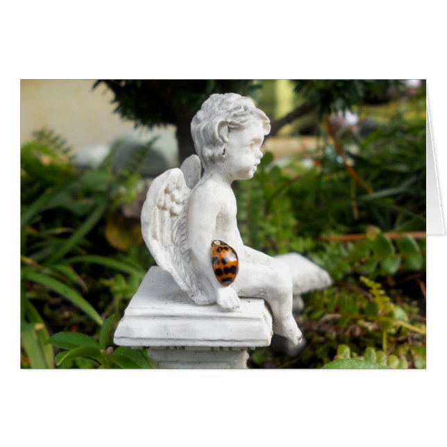 La mariquita y la querube (Anverso (Horizontal))