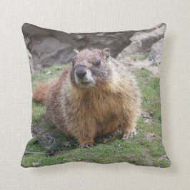 La marmota de Palouse cae almohada del parque de