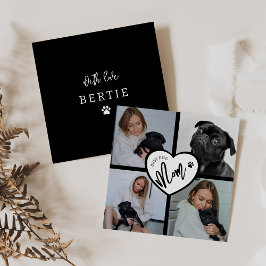 La mejor madre del perro | COLLAGE DE FOTOS