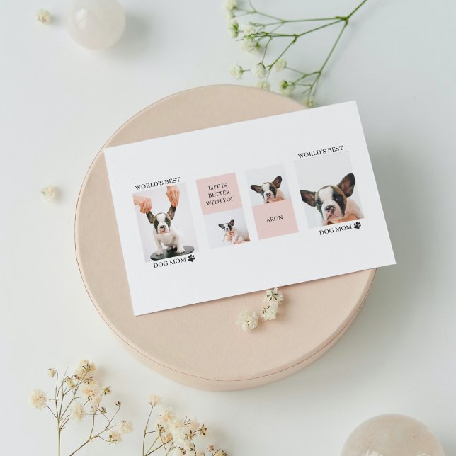 La mejor madre del perro del mundo | Fotografía de (Subido por el creador)